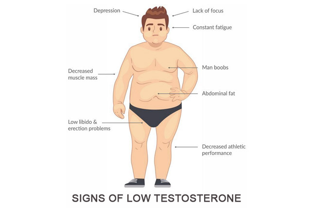 Read more about the article Signs of low testosterone: how do you see them, and how do you act?