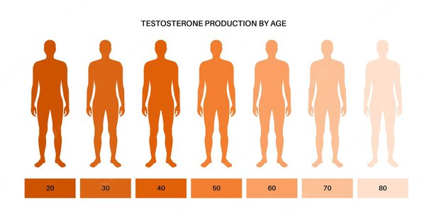 testosterone by age
